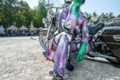 20260815-_5D_9442